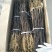 花椒苗大红袍花椒苗看圃起苗现挖现卖包成活