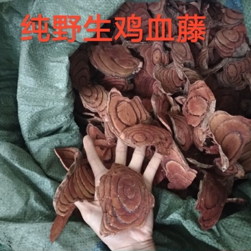鸡血藤