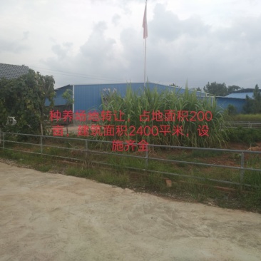 种养场地转让出租，