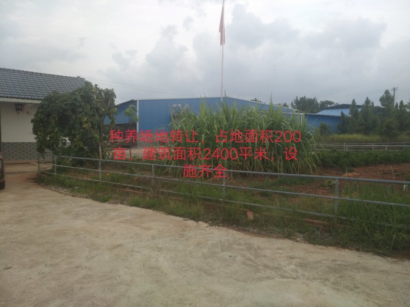 种养场地转让出租，