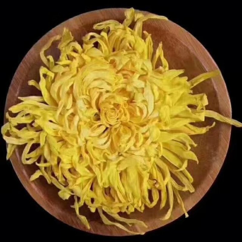 第一金丝皇菊