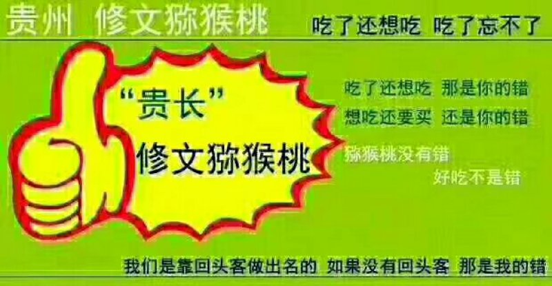本人有大量的修文贵长猕猴桃出售，如有需要的老板请联系我