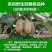 本人有大量的修文贵长猕猴桃出售，如有需要的老板请联系我