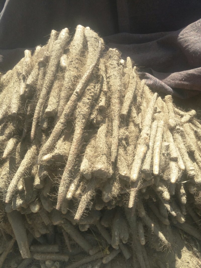 小山药，下脚料，河南路，