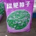 绿肥种子长柔毛野豌豆毛苕子，绿肥籽