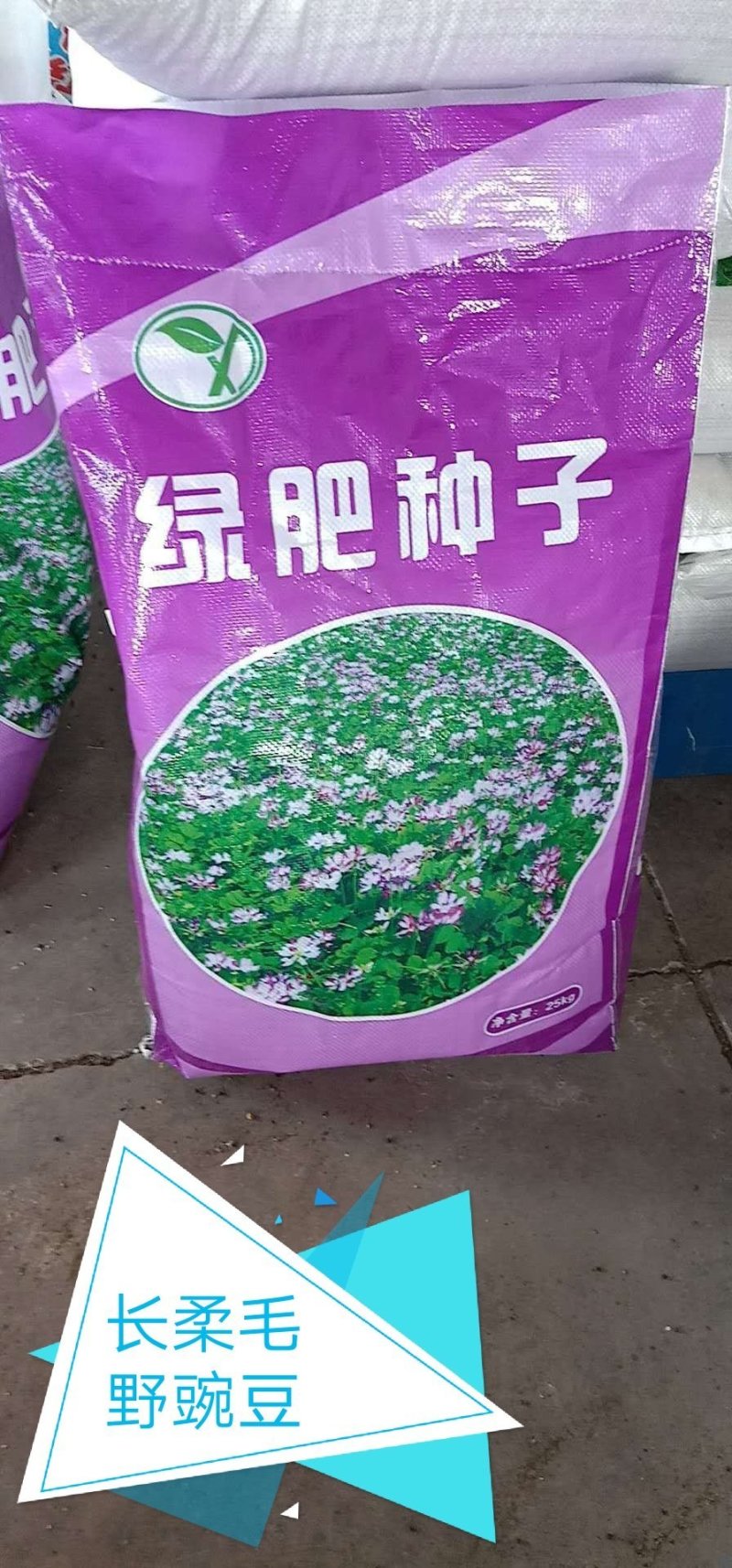 绿肥种子长柔毛野豌豆毛苕子，绿肥籽