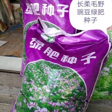 绿肥种子长柔毛野豌豆毛苕子，绿肥籽