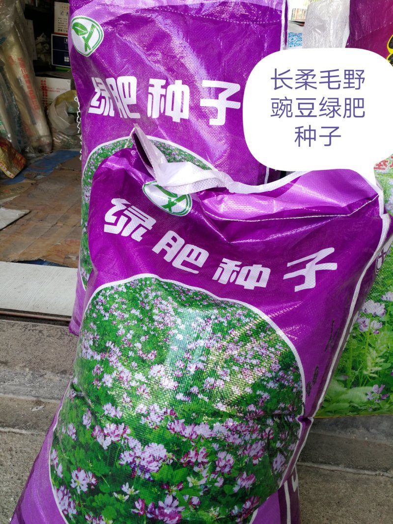 绿肥种子长柔毛野豌豆毛苕子，绿肥籽
