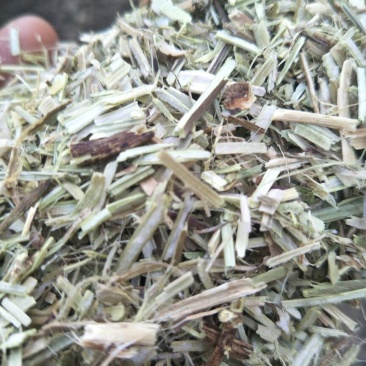 优质牛羊草料