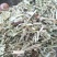 优质牛羊草料