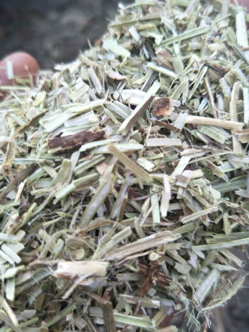 优质牛羊草料