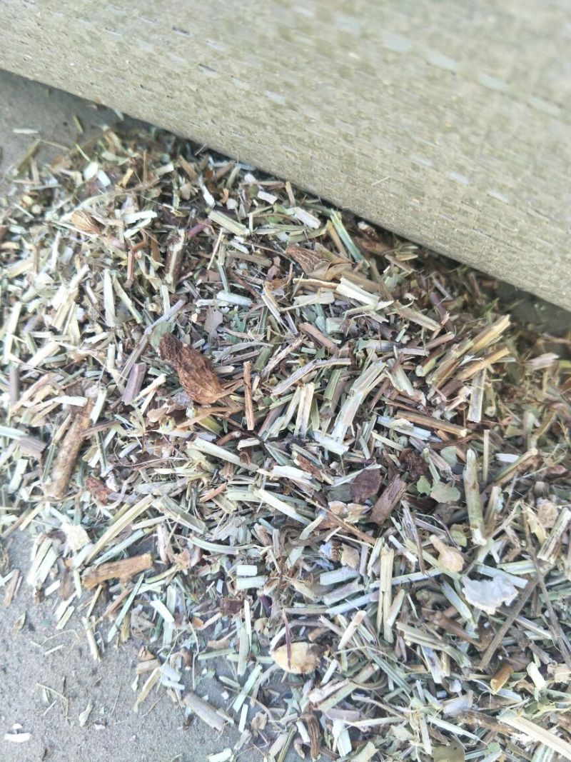 优质牛羊草料