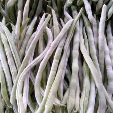 杠杠的白豆角
