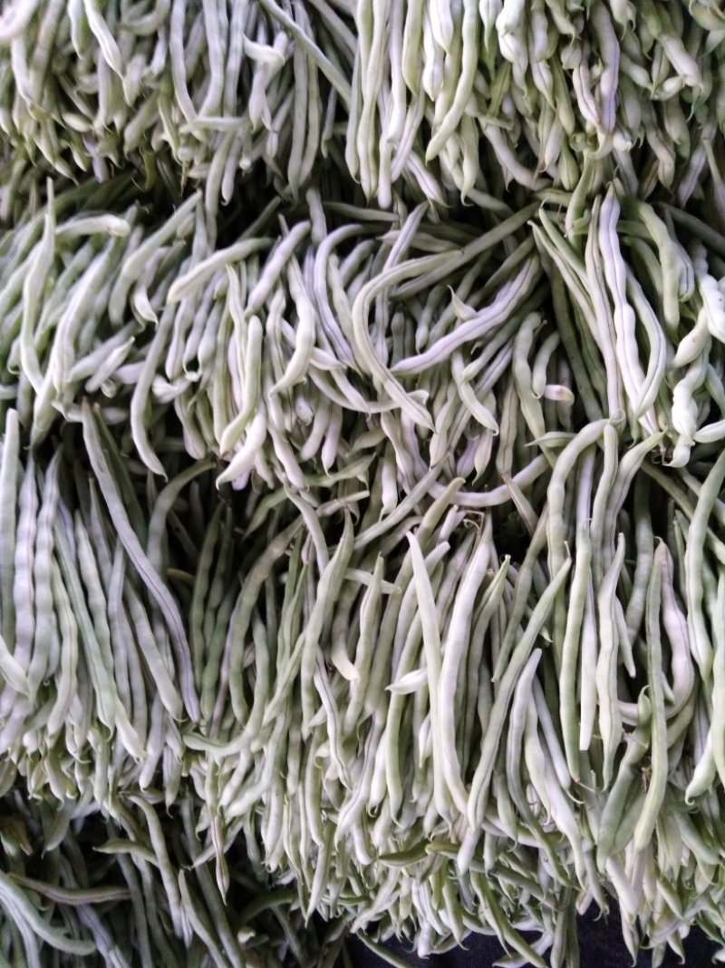 杠杠的白豆角