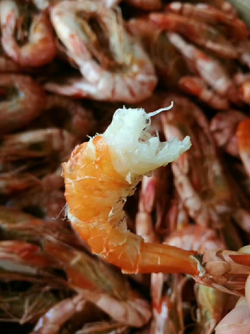 烤虾干