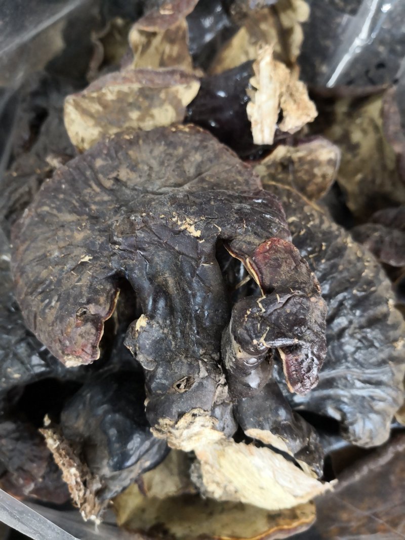 自然生长灵芝大小不一干货散装1斤起包邮