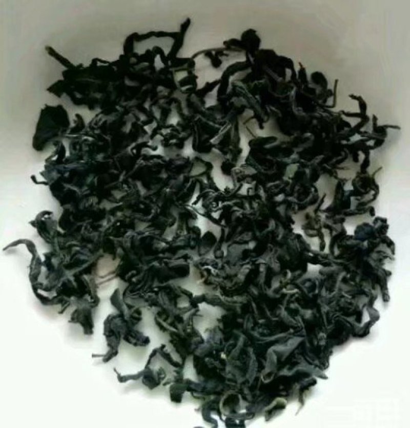 供应青钱柳茶叶嫩叶茶
