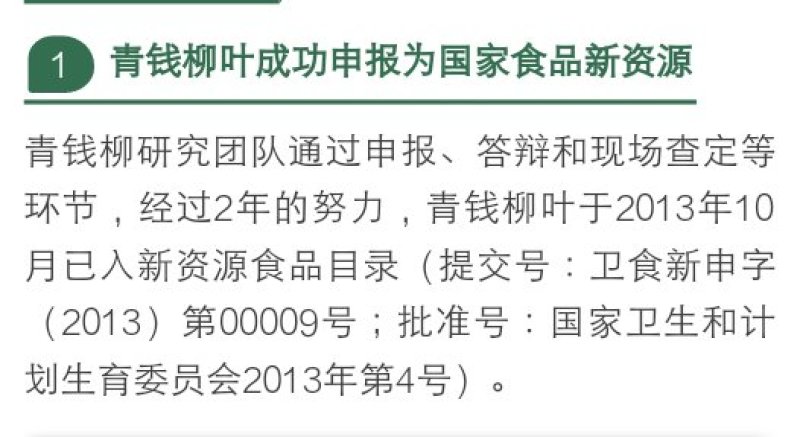 供应青钱柳茶叶嫩叶茶