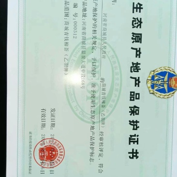 供应青钱柳茶叶嫩叶茶