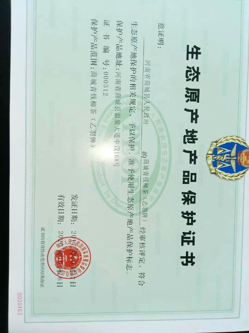 供应青钱柳茶叶嫩叶茶