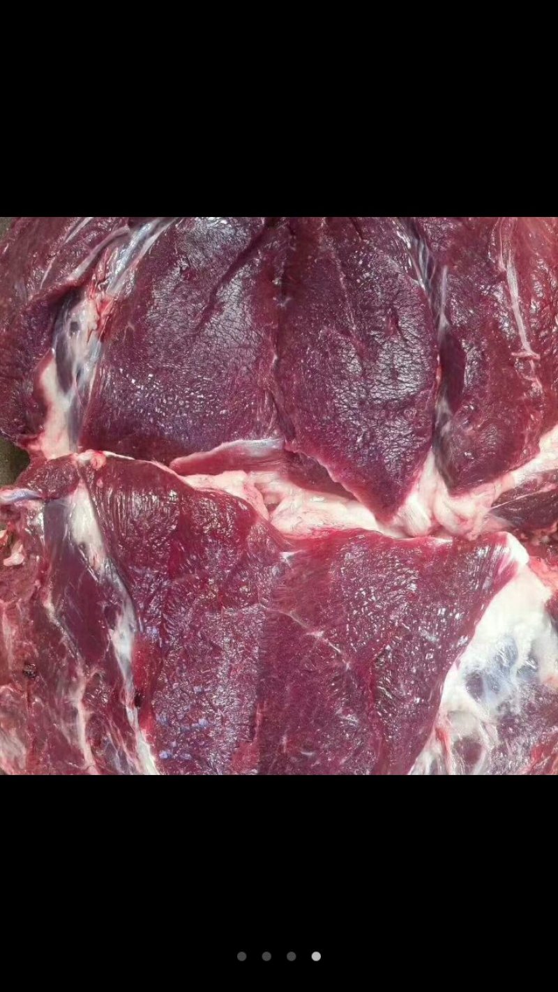 活驴鲜驴肉带皮驴肉驴排驴踢可货发全国