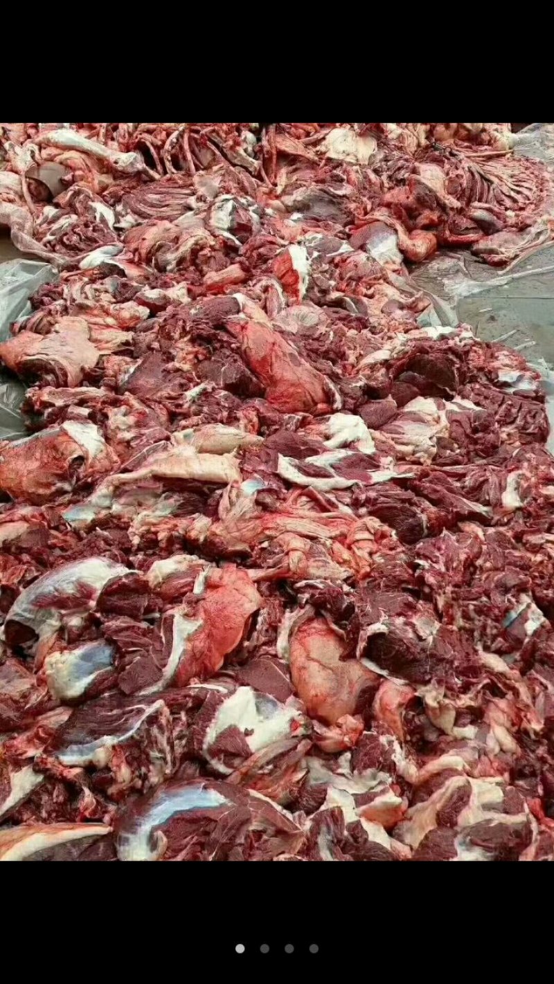 活驴鲜驴肉带皮驴肉驴排驴踢可货发全国