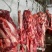活驴鲜驴肉带皮驴肉驴排驴踢可货发全国