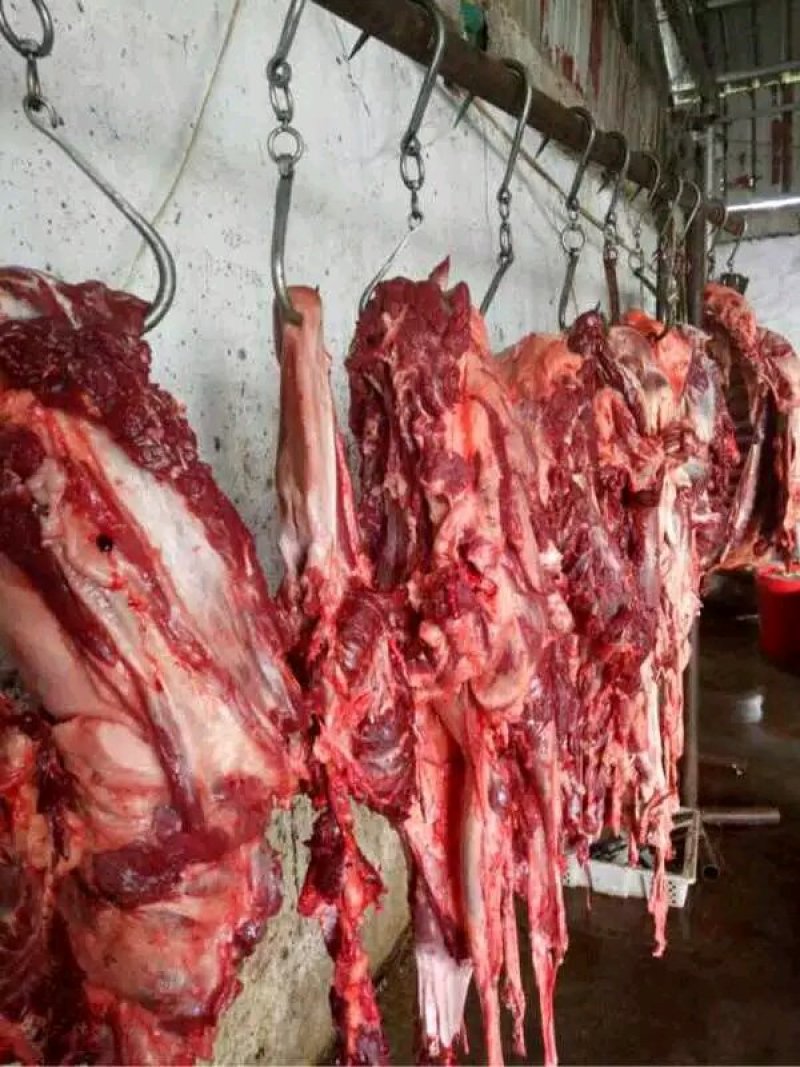 活驴鲜驴肉带皮驴肉驴排驴踢可货发全国