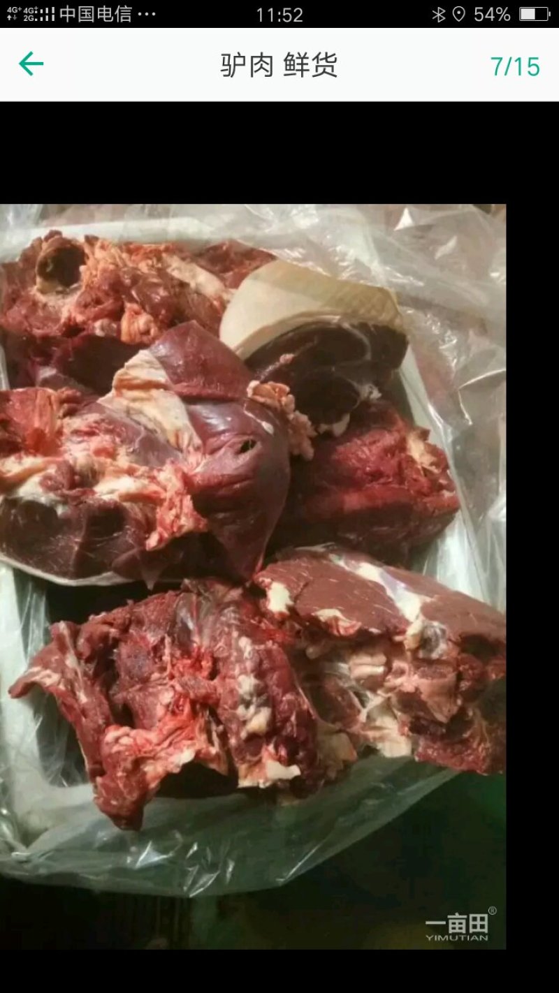 活驴鲜驴肉带皮驴肉驴排驴踢可货发全国
