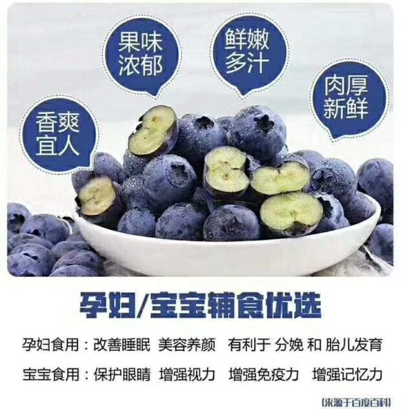 蓝莓苗裕民苗木专业合作社
