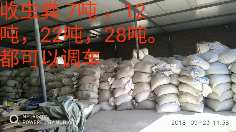 黄粉虫粪沙粪虫沙饲料原料