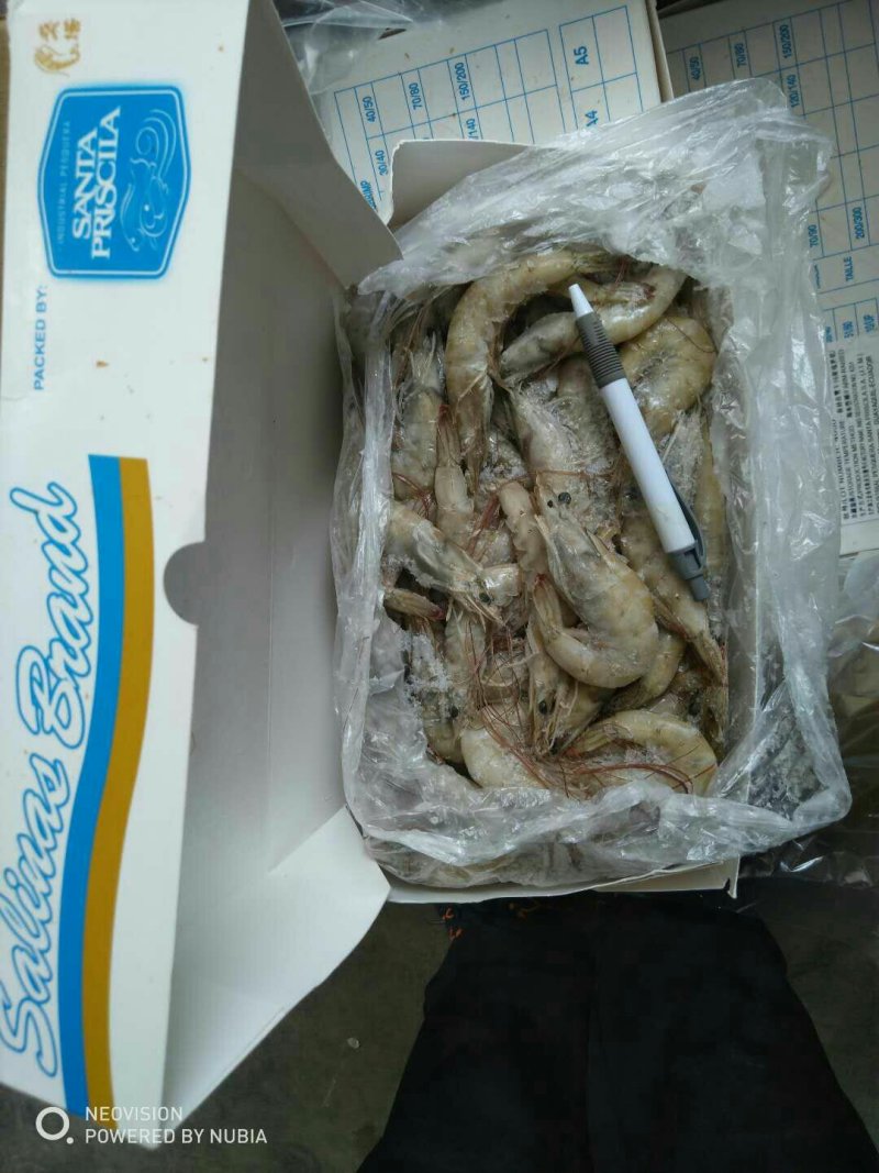 厄瓜多尔虾