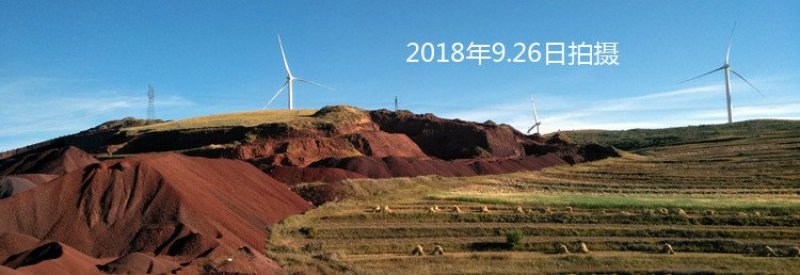 富硒土豆原价4元每斤！现价1.1元每斤