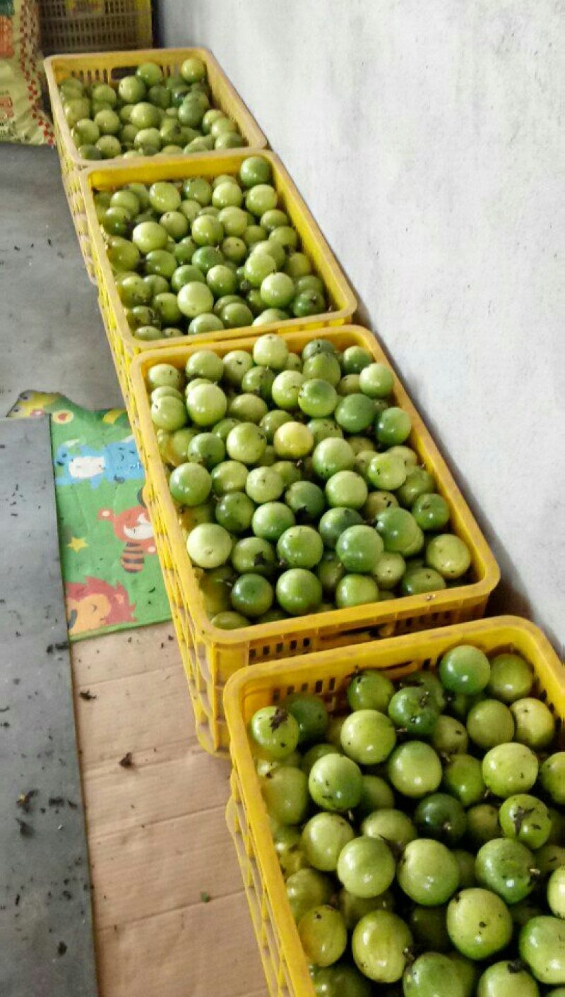 百香果