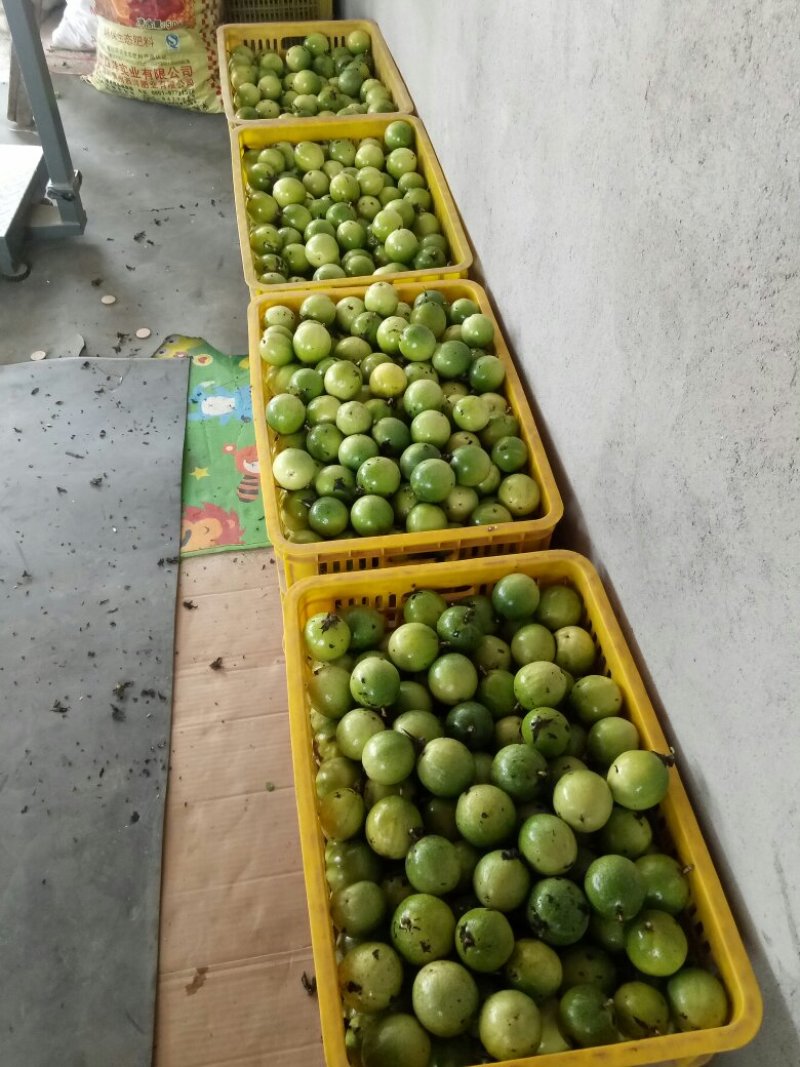 百香果