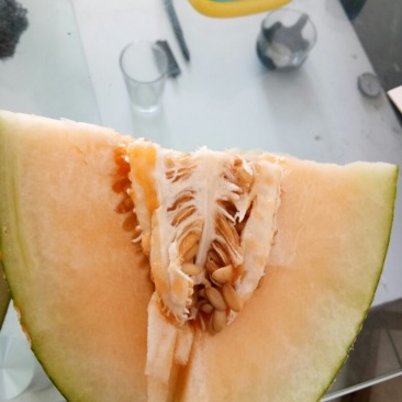 哈密瓜三斤以上口感好皮薄肉多多糖多汁水果中级品
