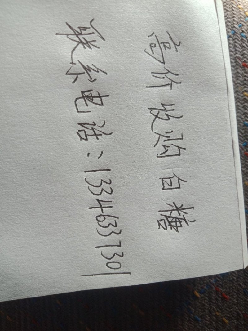 白砂糖