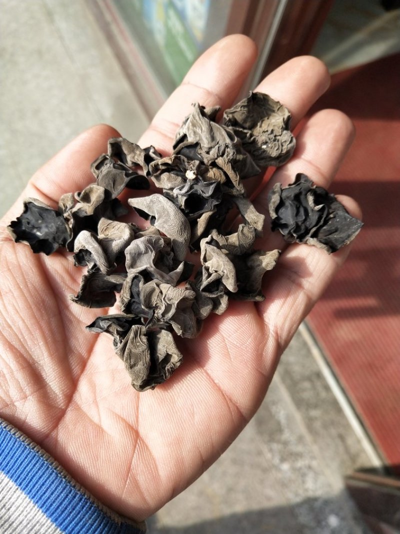 黑木耳特级