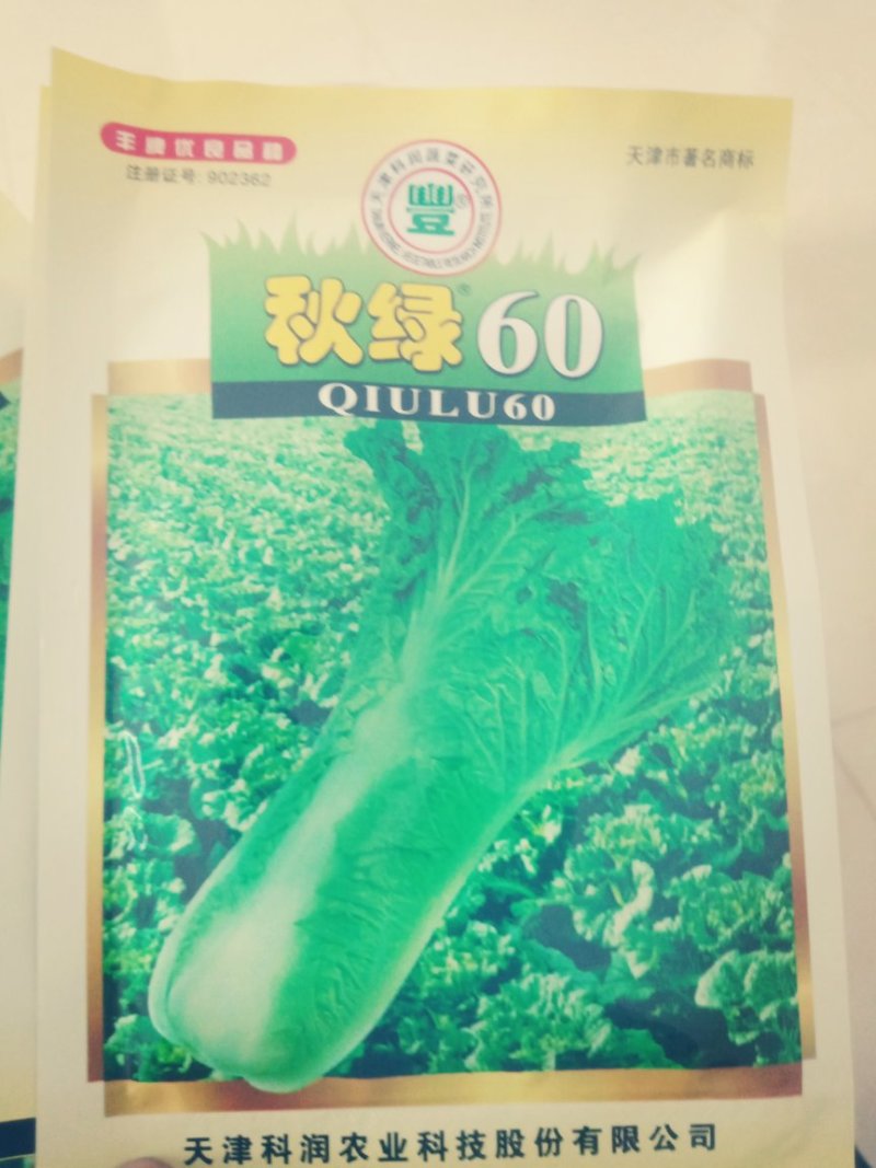 大娃娃菜，白菜，包菜，60菜预售