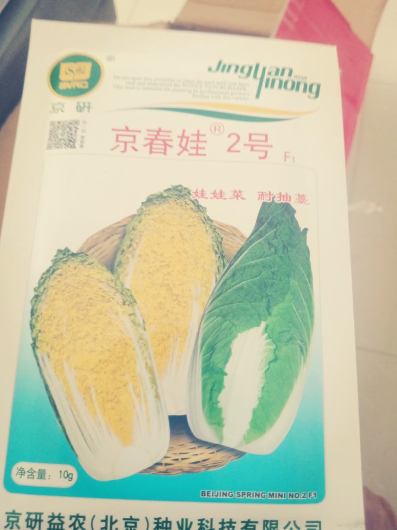 大娃娃菜，白菜，包菜，60菜预售