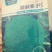 大娃娃菜，白菜，包菜，60菜预售