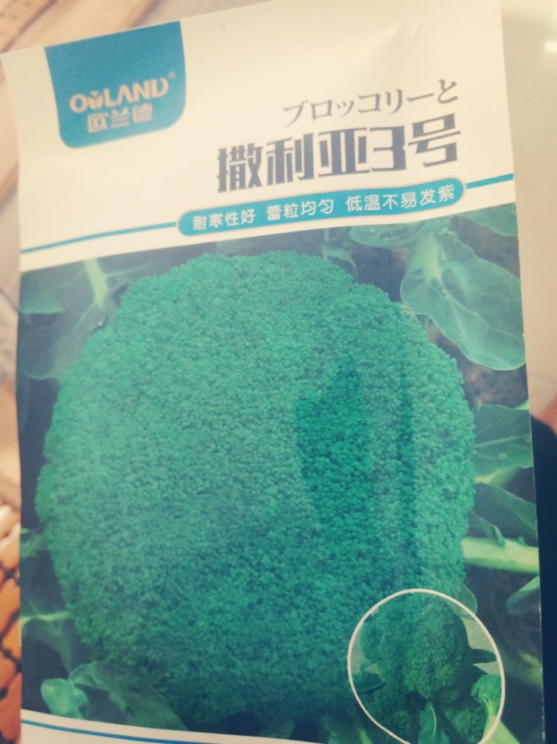 大娃娃菜，白菜，包菜，60菜预售