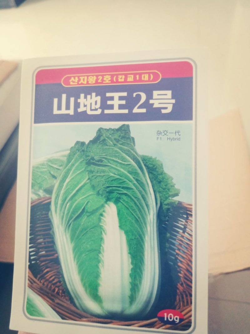 大娃娃菜，白菜，包菜，60菜预售