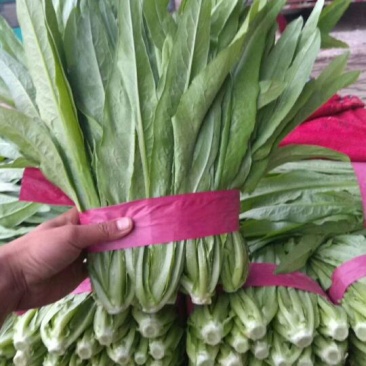 精品蔬菜