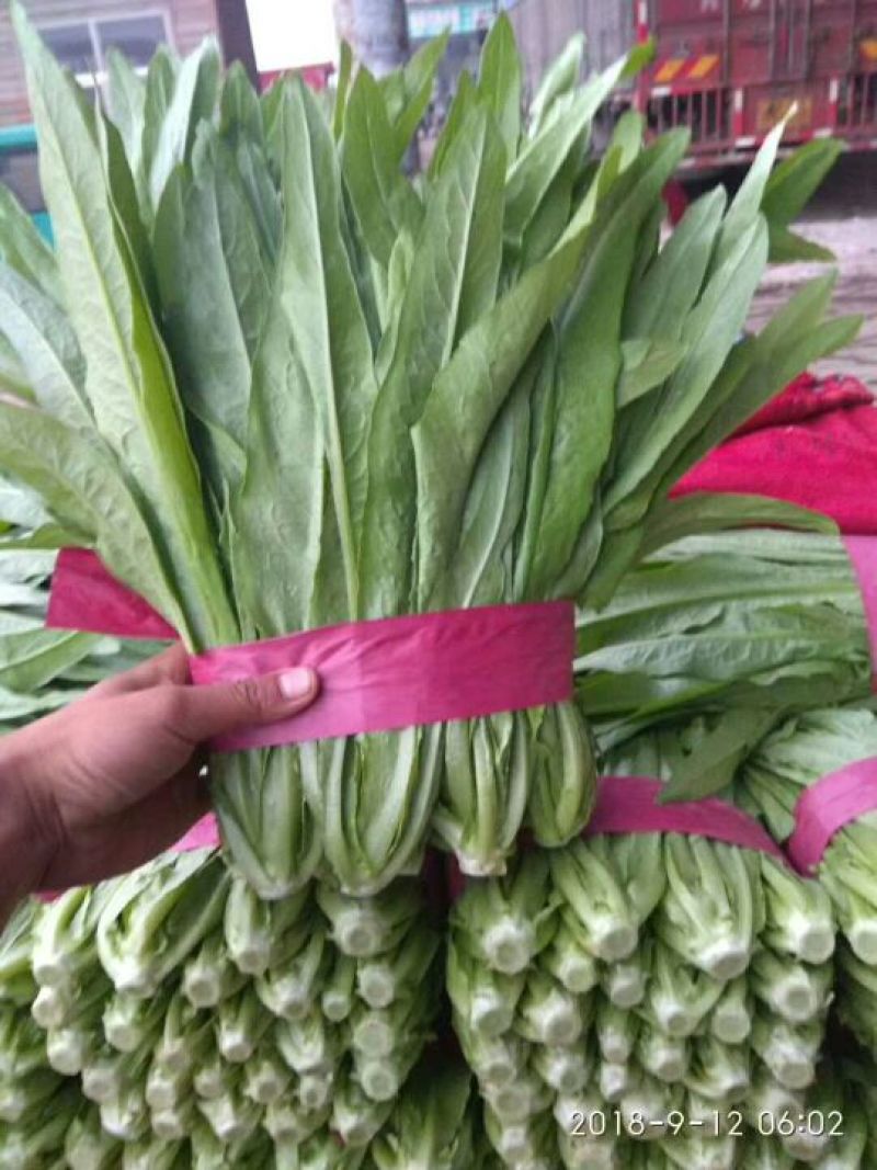 精品蔬菜