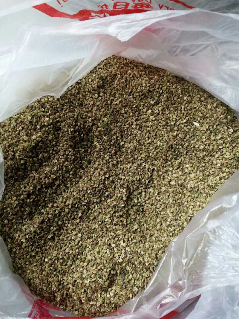 精品蛇床子