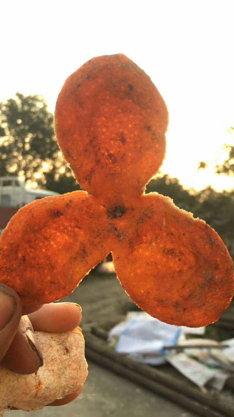 陈皮三花四花精品