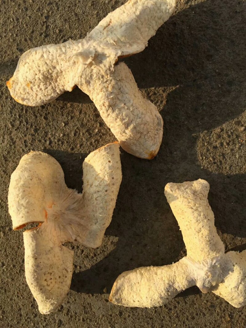 陈皮三花四花精品