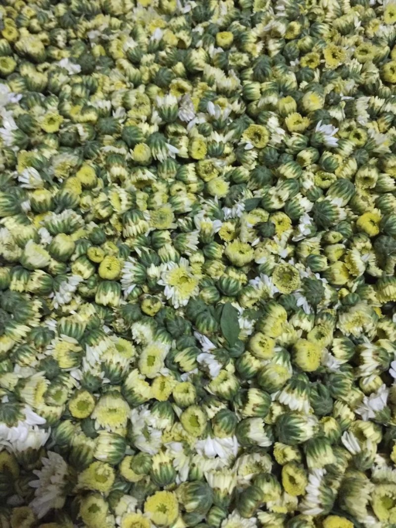 菊花茶