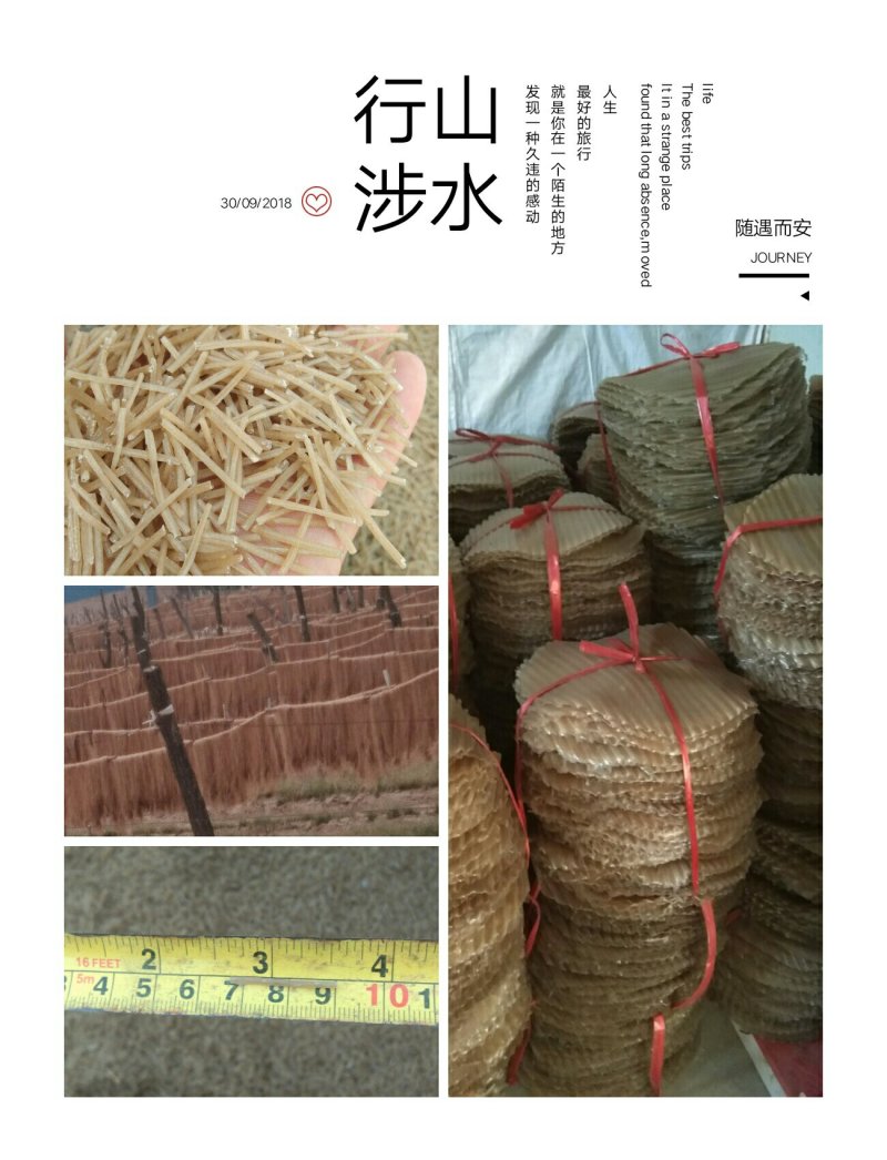 包子馅粉条，
